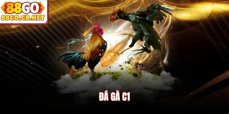 Đá gà C1