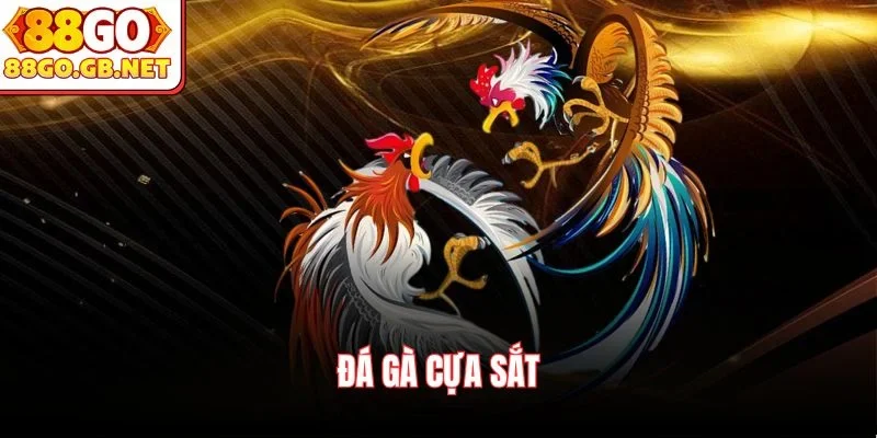 Đá gà cựa sắt